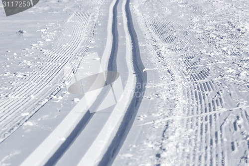 Image of Cross-country skiing trail