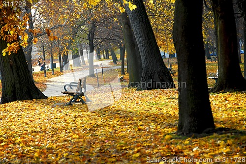 Image of Autumn park