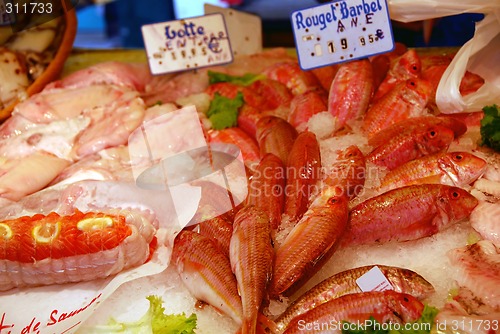 Image of Fish market