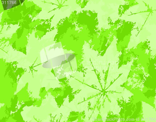 Image of Leaf grunge