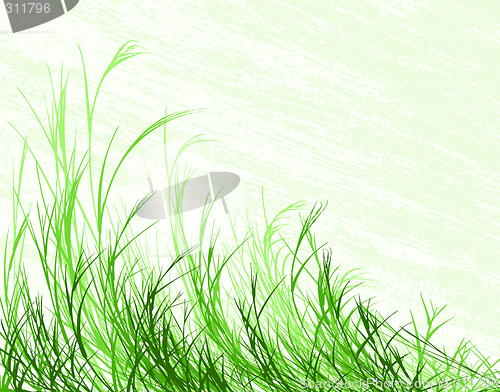 Image of Blowing grass