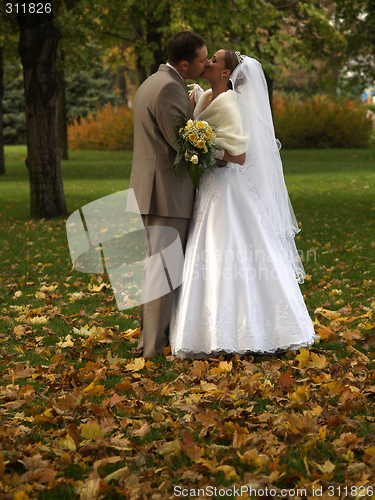 Image of Young just married kissing in park