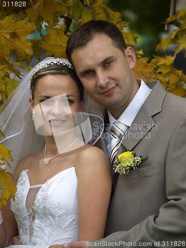 Image of Just married portrait in maple leaves