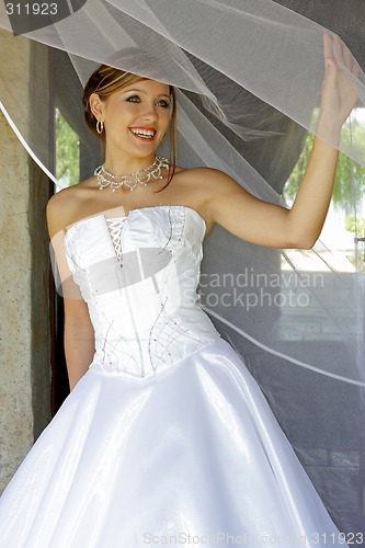 Image of Above Net