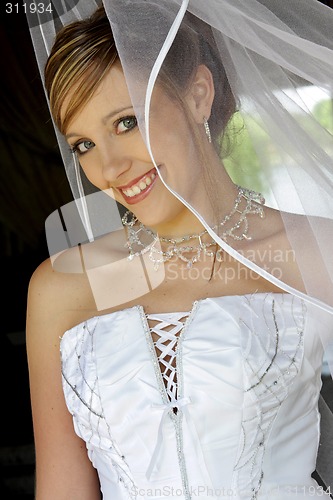 Image of Behind Net