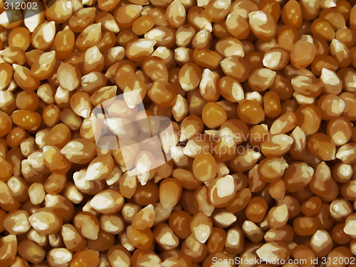 Image of Popcorn Kernels Background