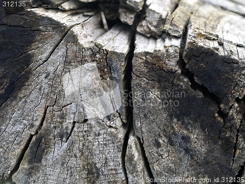 Image of wood