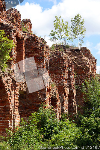 Image of Tree on the wall