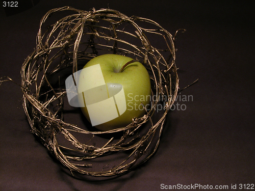Image of apple