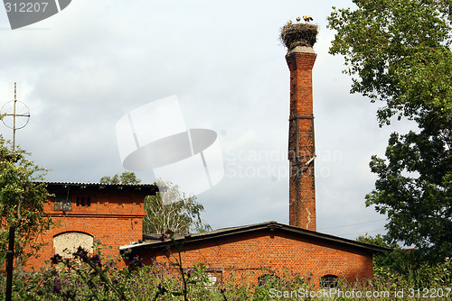 Image of Nest on the top of tower