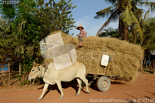 Image of ASIA CAMBODIA ANGKOR THOM