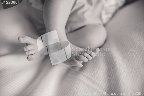 Image of Newborn baby feet