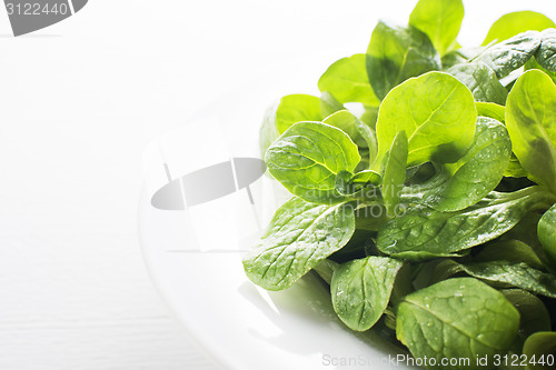 Image of Salad