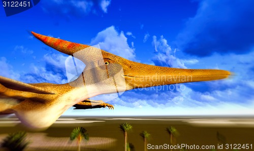 Image of Flying pterodactyl