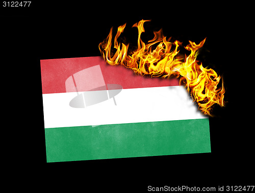 Image of Flag burning - Hungary