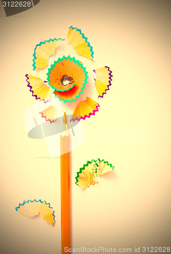 Image of pencil flower on white