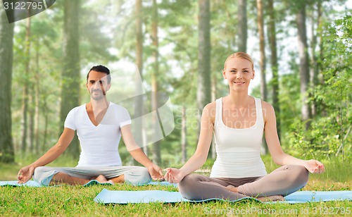 Image of smiling couple making yoga exercises outdoors