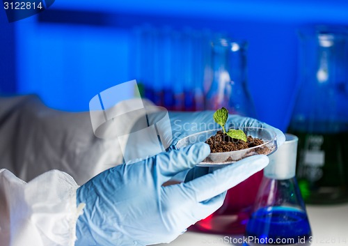 Image of close up of scientist hands with plant and soil 