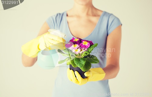 Image of woman holding pot with flower and spray bottle