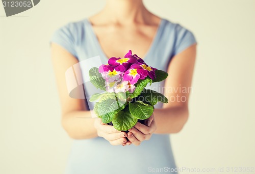 Image of woman's hands holding flower in pot