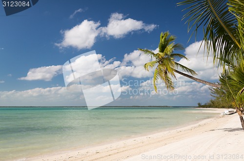 Image of tropical beach with palm trees