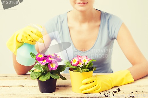 Image of housewife with flower in pot and spray bottle