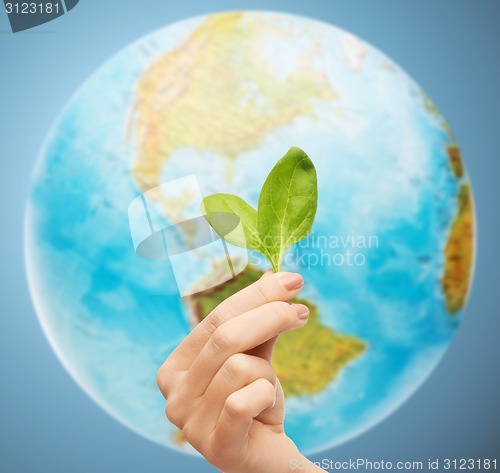 Image of woman hand with green sprout over earth globe