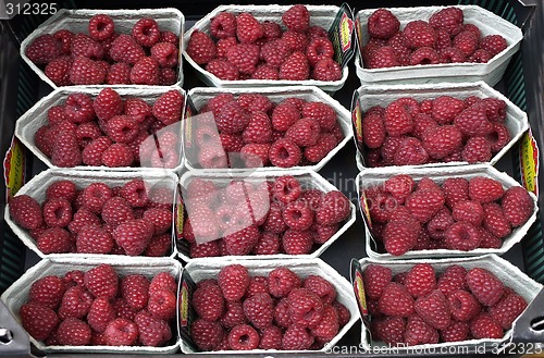 Image of raspberry