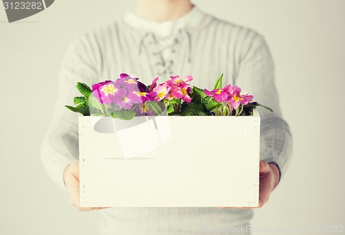 Image of man holding  big pot with flowers