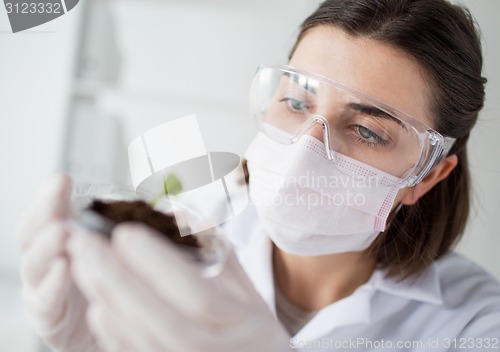 Image of close up of scientist with plant and soil in lab