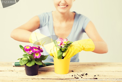 Image of housewife with flower in pot and gardening set