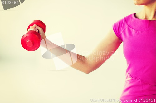 Image of sporty woman hands with light red dumbbells