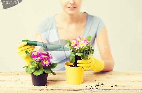 Image of housewife with flower in pot and gardening set