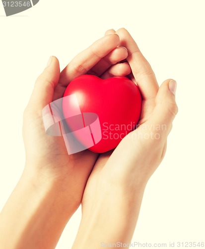 Image of woman hands with heart