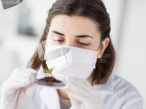 Image of close up of scientist with plant and soil in lab