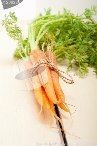 Image of baby carrots bunch tied with rope