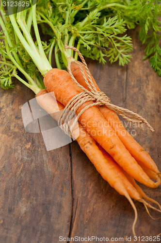 Image of baby carrots bunch tied with rope