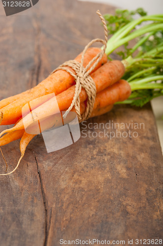 Image of baby carrots bunch tied with rope