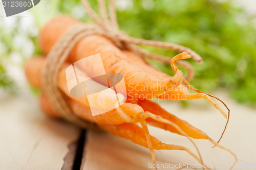 Image of baby carrots bunch tied with rope