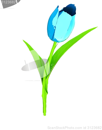 Image of Tulip flower
