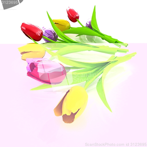 Image of Tulip flower