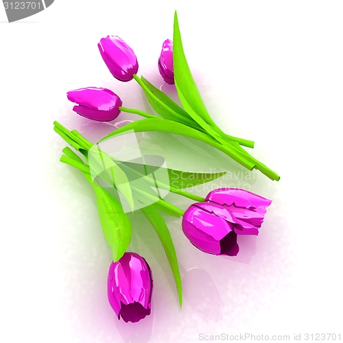 Image of Tulip flower