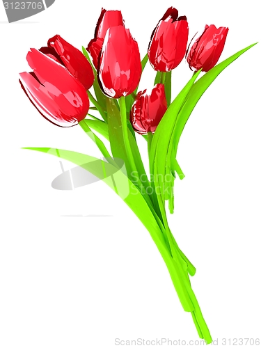 Image of Tulip flower