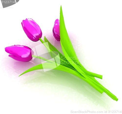 Image of Tulip flower
