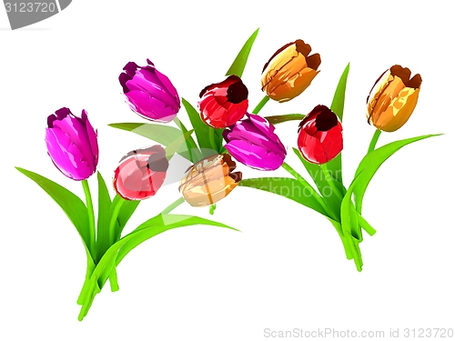 Image of Tulip flower