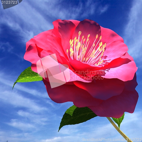 Image of Beautiful Flower against the sky 