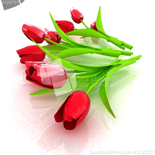 Image of Tulip flower
