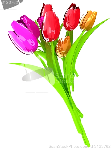 Image of Tulip flower