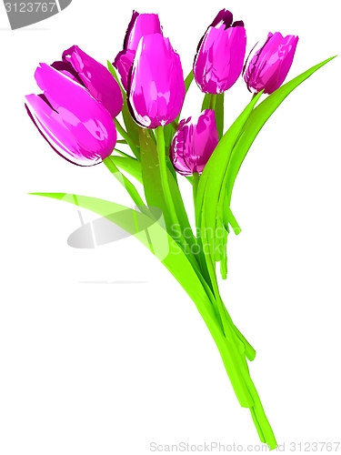 Image of Tulip flower