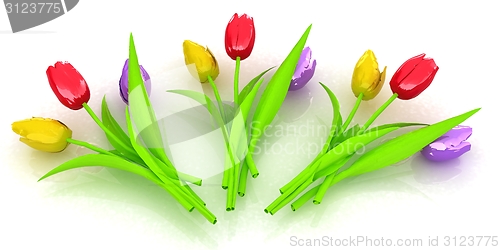Image of Tulip flower